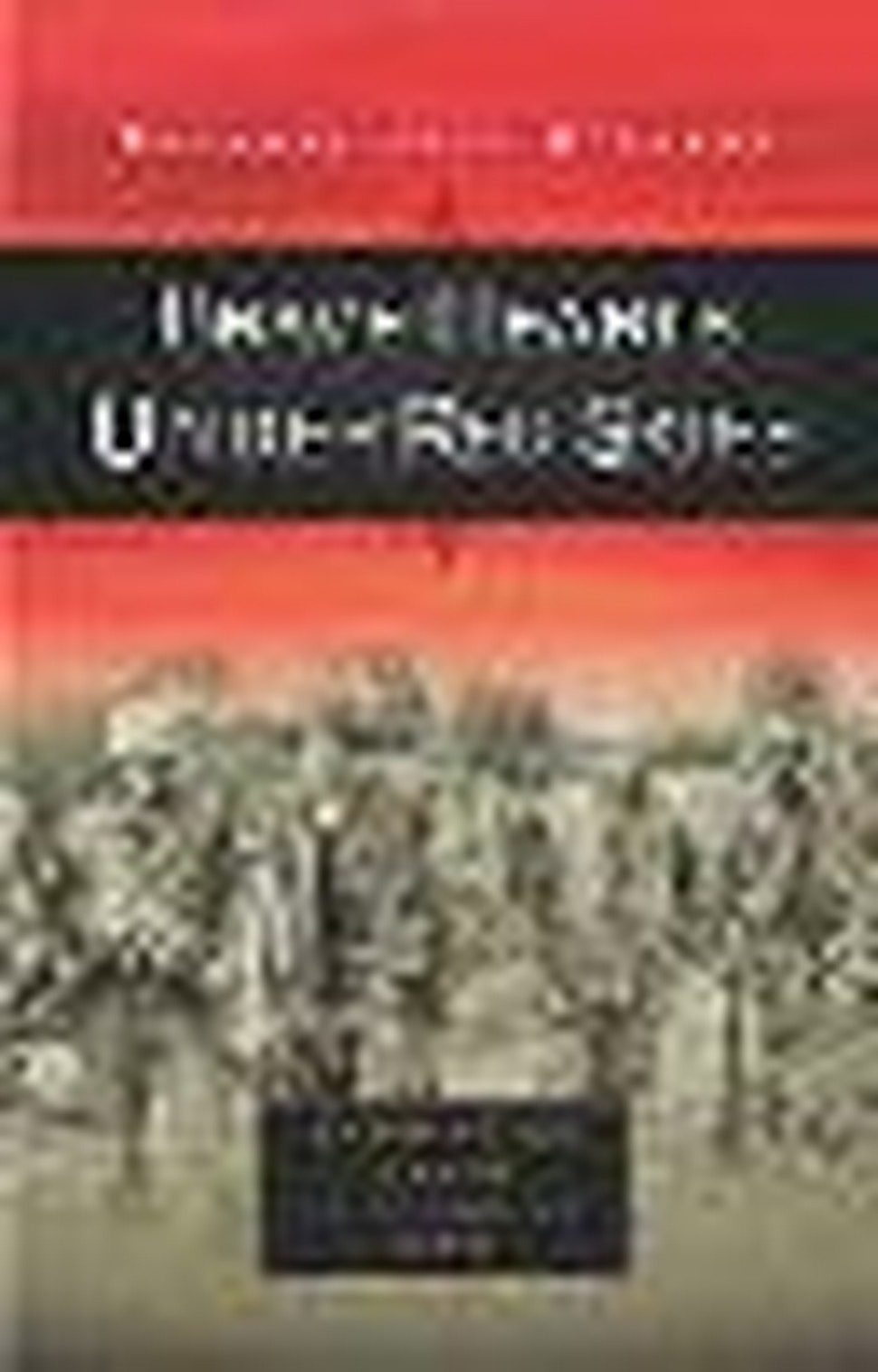 They Fought Under Red Skies: Remembering our Veterans