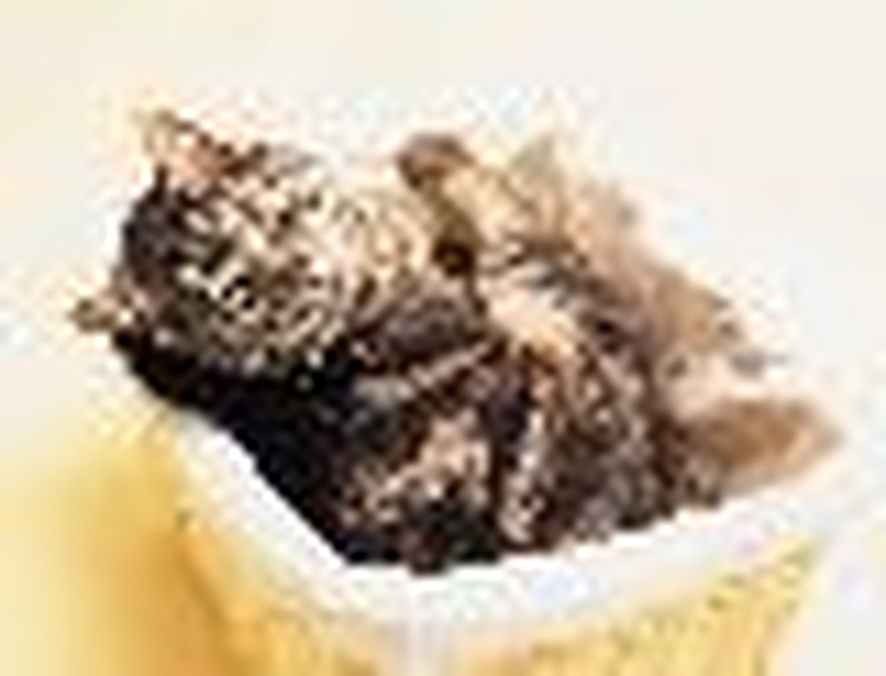 Unit Study: Wake Up and Learn About Hibernation!