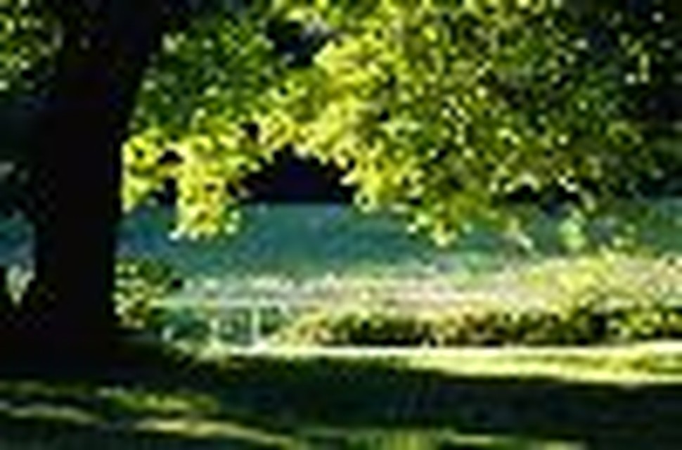 The Myth of Greener Grass: When Is It Time to Go?