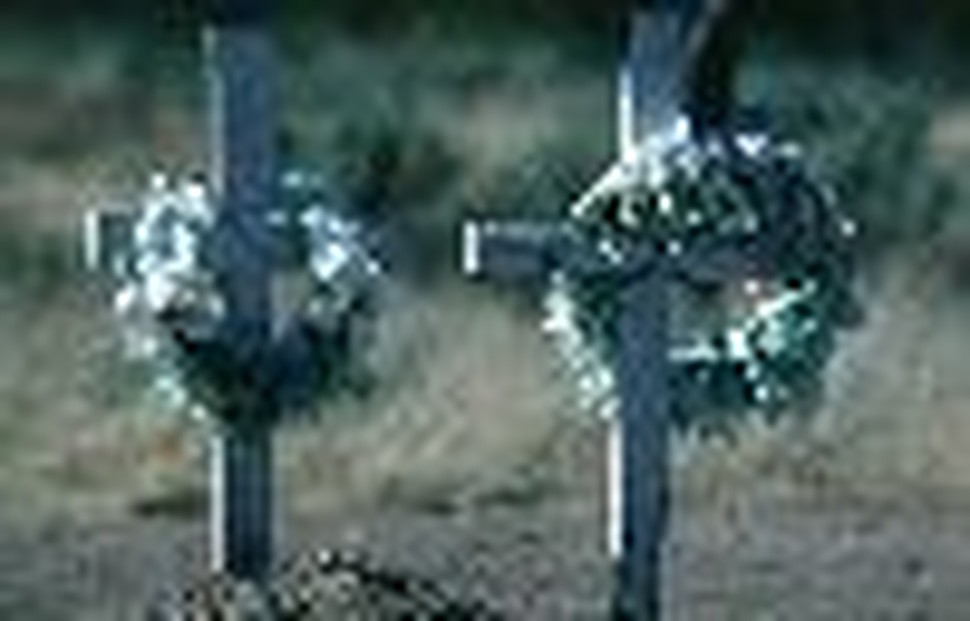 Mourning Mother: Finding My Way Through Grief