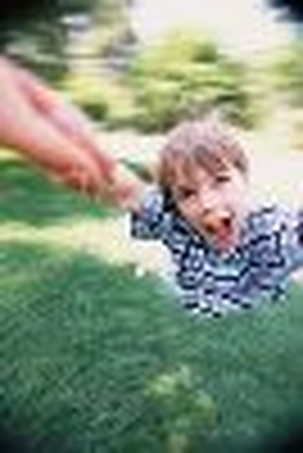 Dancin' Boy: Discovering God through Childlike Abandon