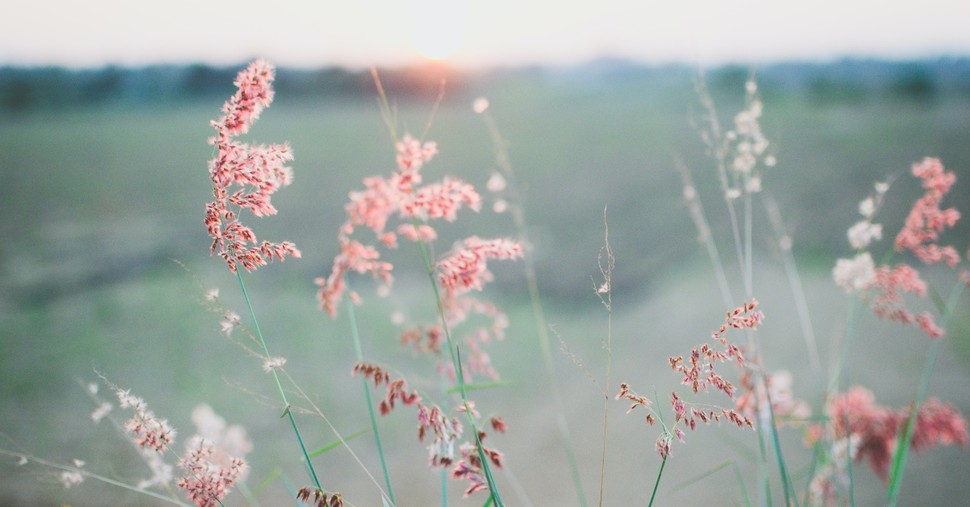 A Prayer for Peace Within