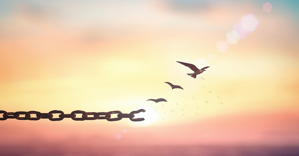 How to Break Generational Curses and Find Freedom for Your Family
