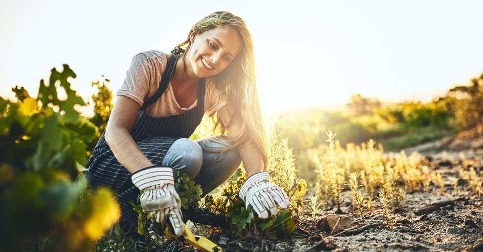 14 Tips for Spring Gardening
