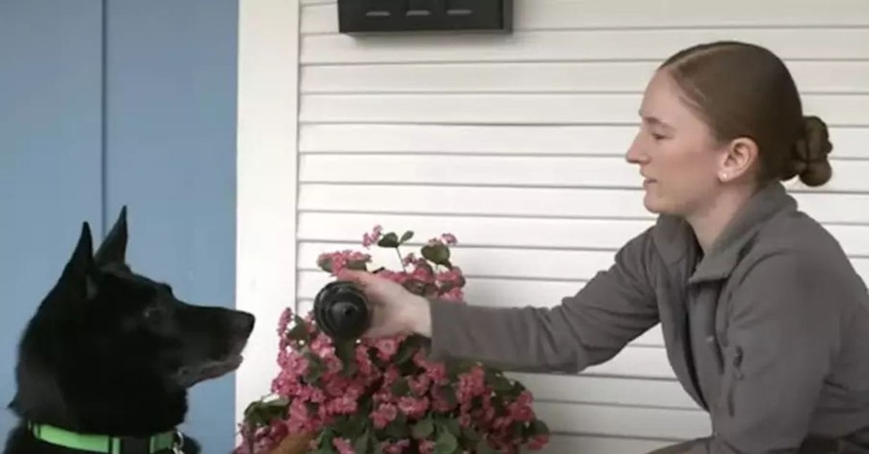 Soldier Is Reunited with the Dog She Served with while Deployed