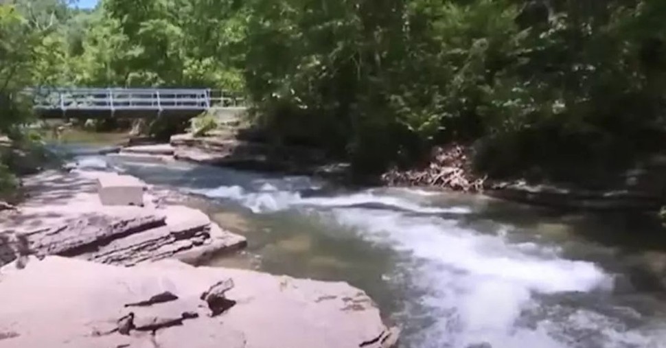 Young Girl Is Saved by Good Samaritan after Falling 15 Feet into a Waterfall