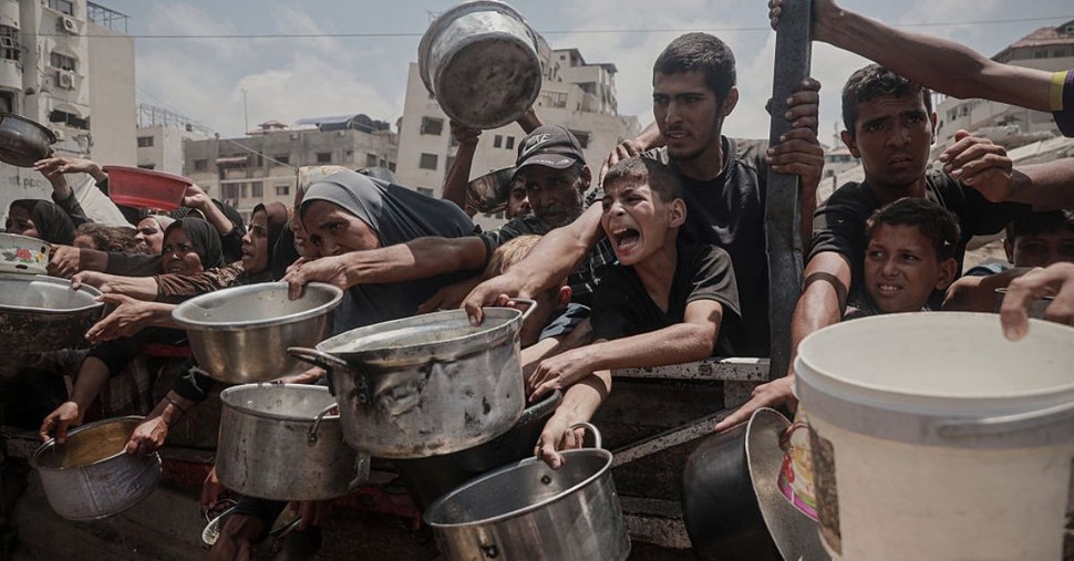 When Alice in Wonderland Meets Palestine