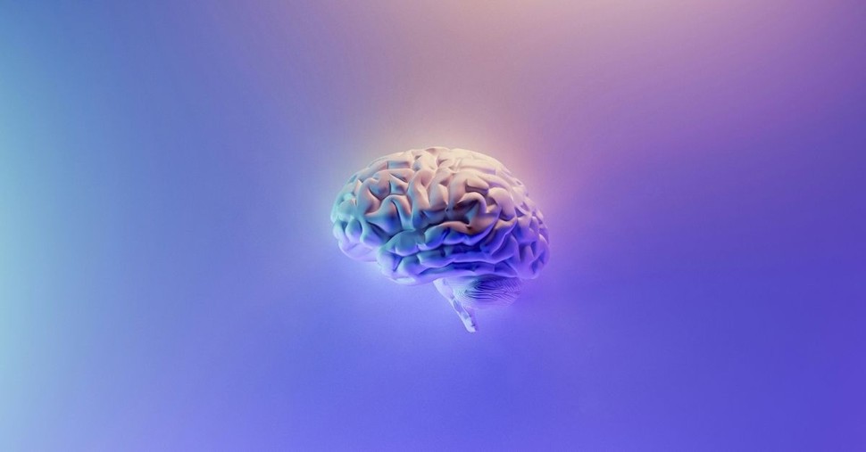 Renewing Your Mind and the Science behind Staying Sharp
