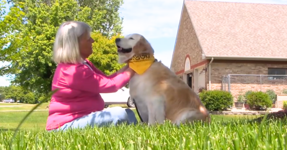 Golden Retriever Becomes a Loving Caregiver After Wife’s Alzheimer’s Diagnosis