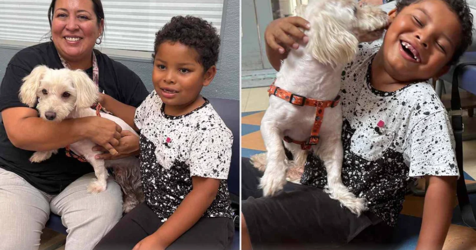 Nearly 3 Years After Their Dog Disappeared, One Scan Leads to the Reunion They Never Expected