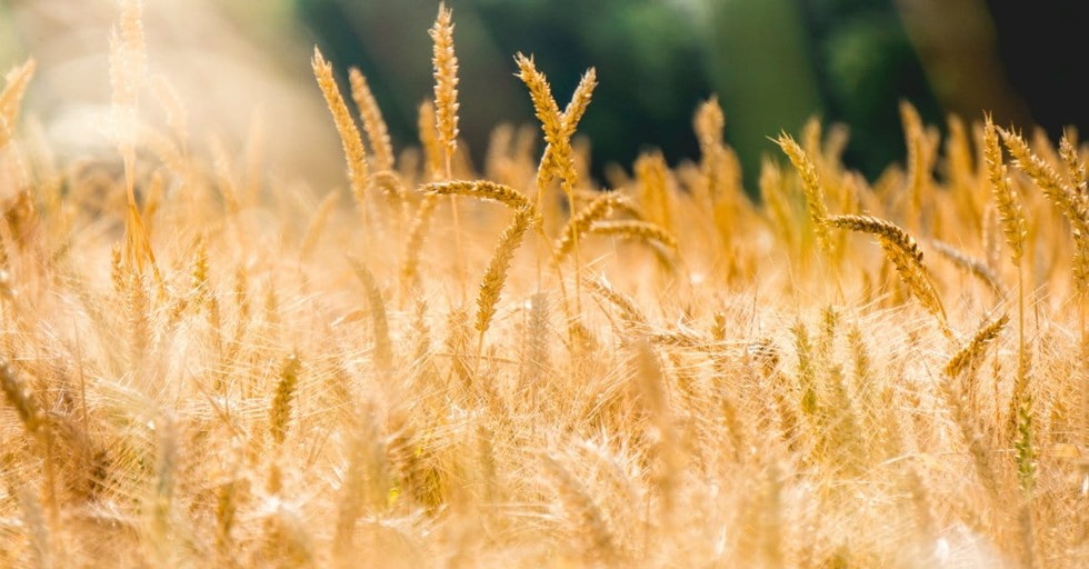 What Does Passover Celebrate