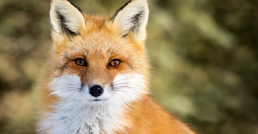 Top 10 Weird Bible Stories