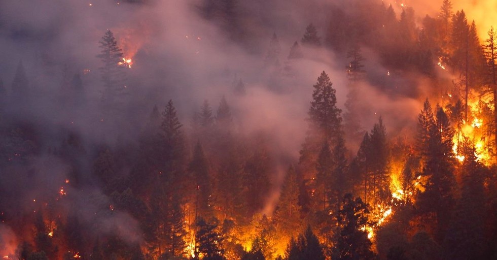 5 Things You Should Know about the California Wildfires