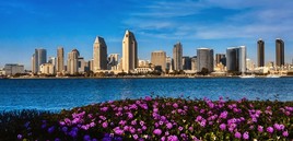 Scenic view of the San Diego skyline with modern high-rise buildings across the water, vibrant purple flowers in the foreground, and a clear blue sky overhead.